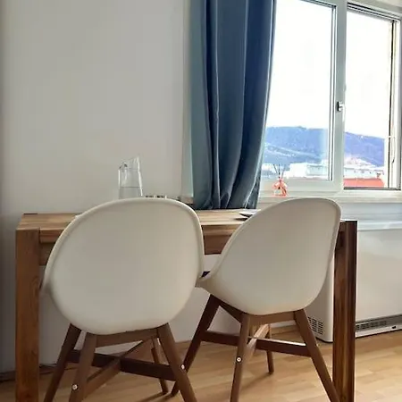 Gruenblick Penthouse Apartment Graz